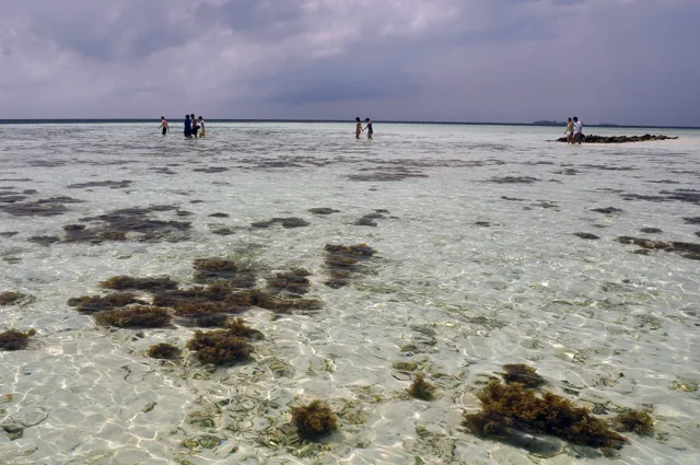 Vorschau des Fotos Karimunjawa Waters.jpg