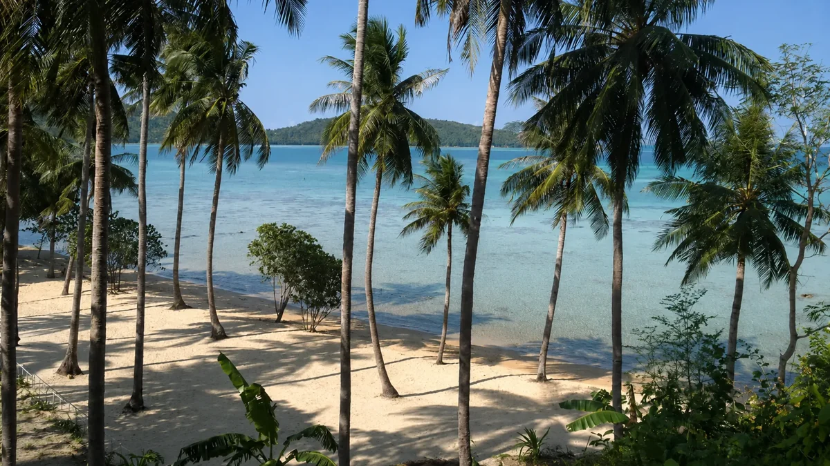 Palmen und Strandbereich am Alano Beach auf Karimunjawa