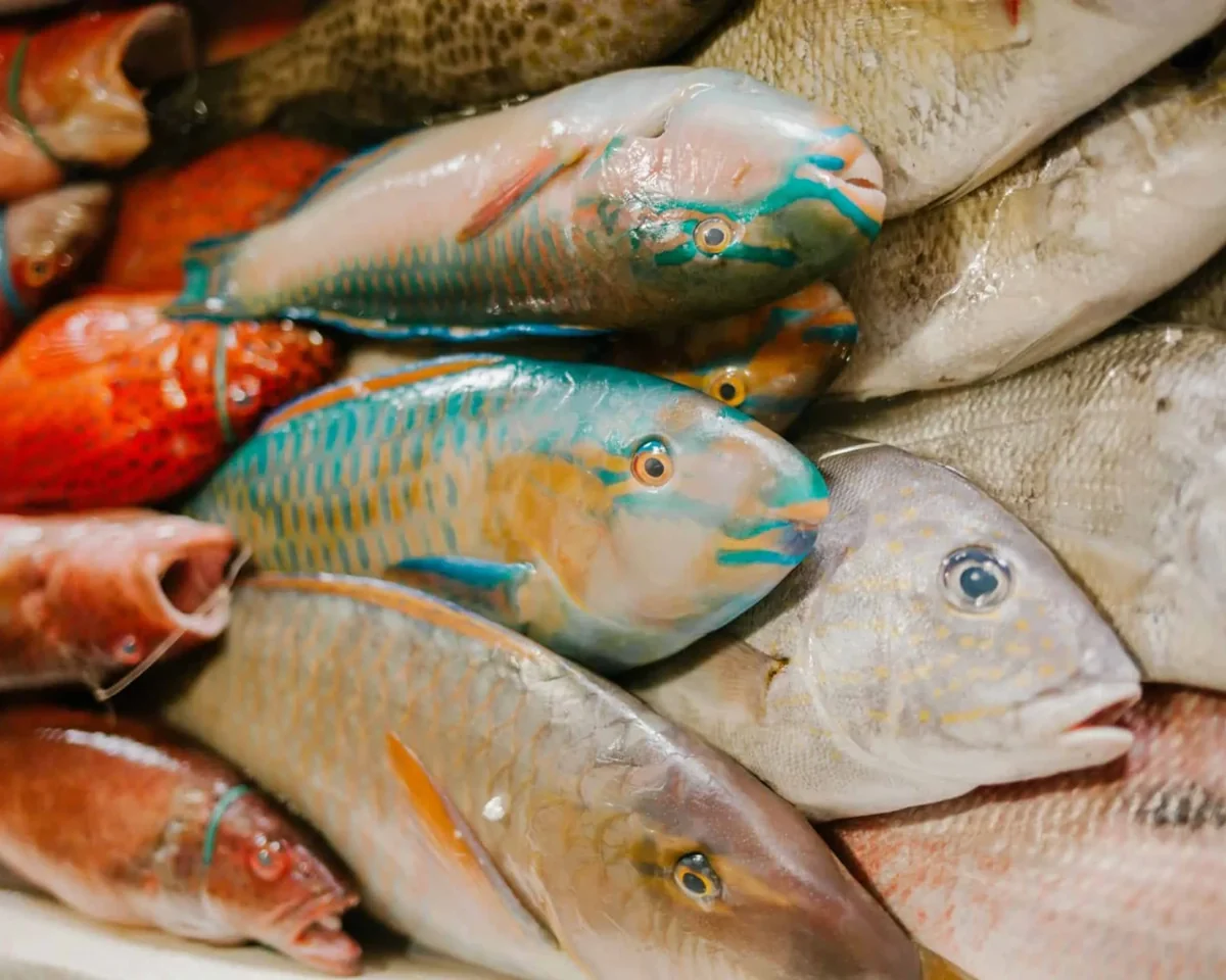 Fischstand am Alun-Alun-Nachtmarkt auf Karimunjawa